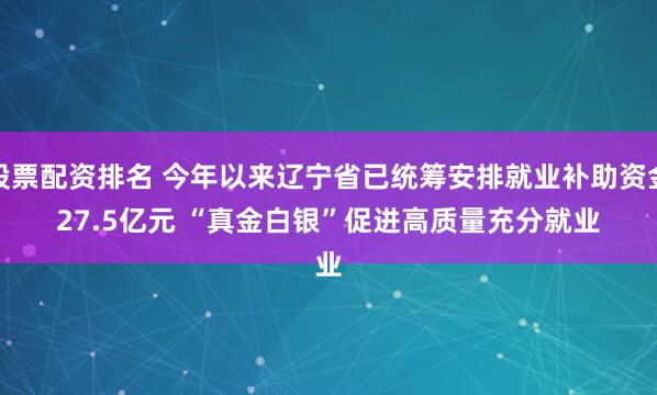 股票配资排名 今年以来辽宁省已统筹安排就业补助资金27.5亿元 “真金白银”促进高质量充分就业